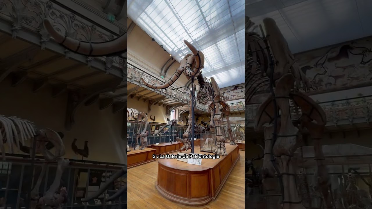 #paris #jardin #plantes #musee #histoire #science #paléontologie #serres #botanique #evolution