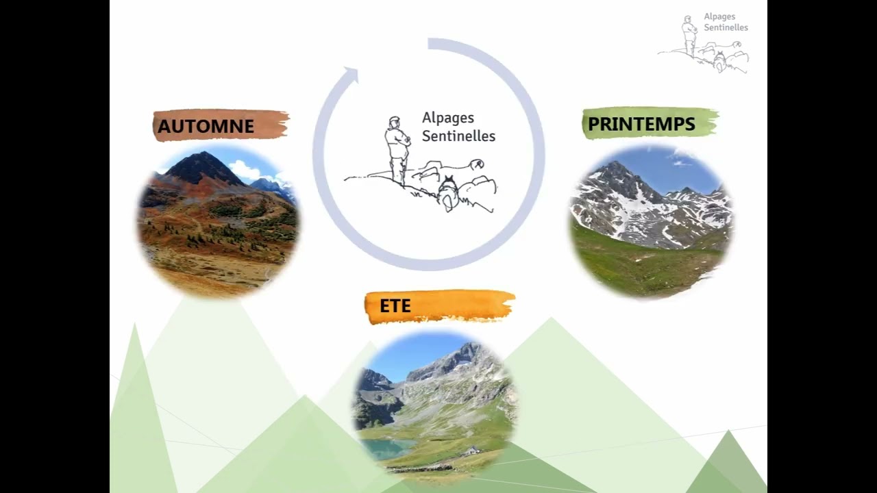 Les alpages des Alpes face au changement climatique