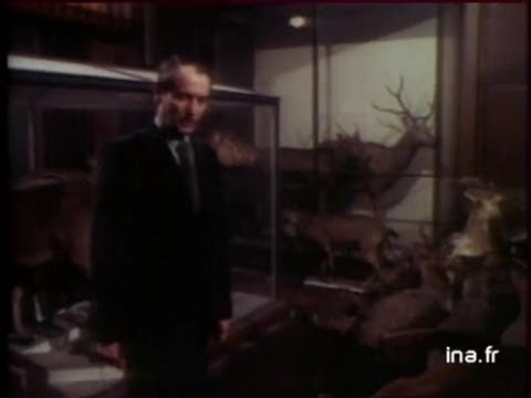 MUSEUM D'HISTOIRE NATURELLE