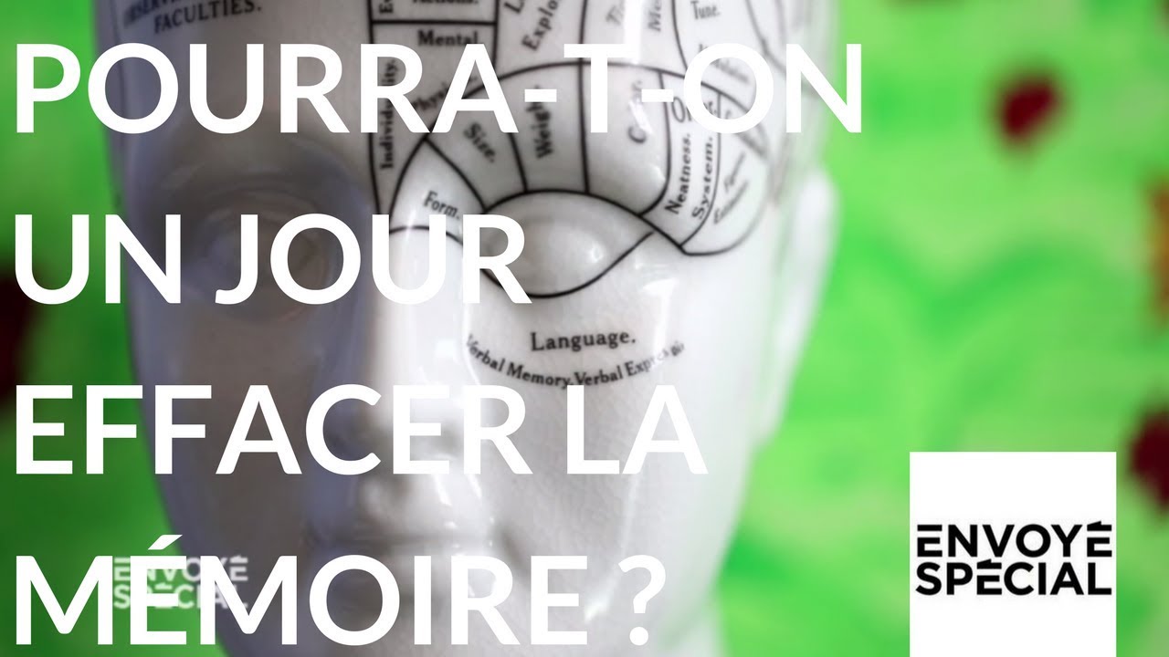 Envoyé Spécial. Pourra-t-on un jour effacer la mémoire ? 14 sept. 2017 (France 2)