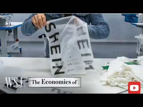 How Shein Built a $66B Fast-Fashion Empire | WSJ The Economics Of