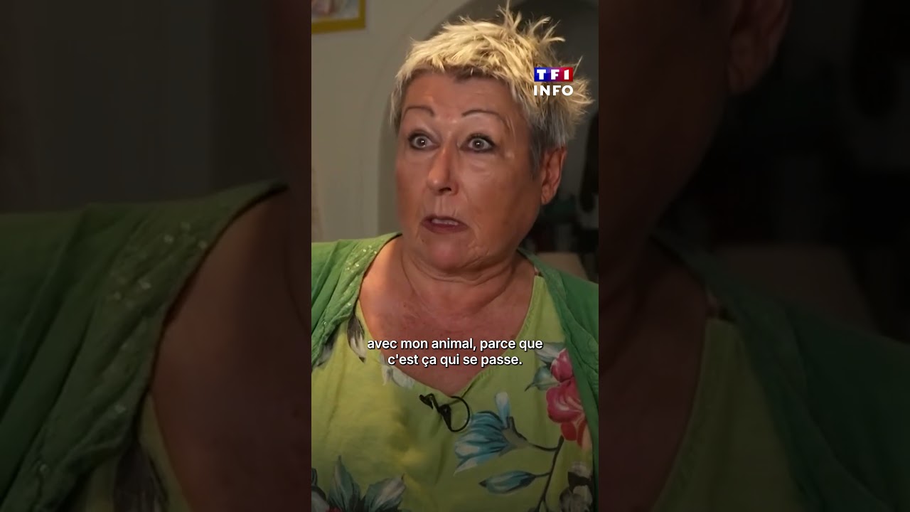 Condamnée par la justice parce que son chat s'invite chez le voisin !｜TF1 INFO
